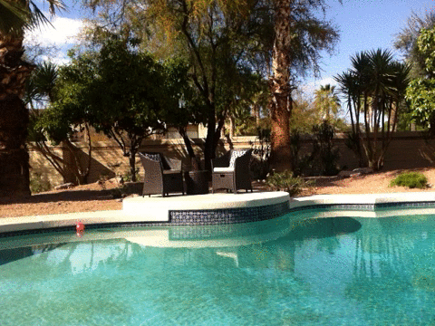 Scottsdale Pool