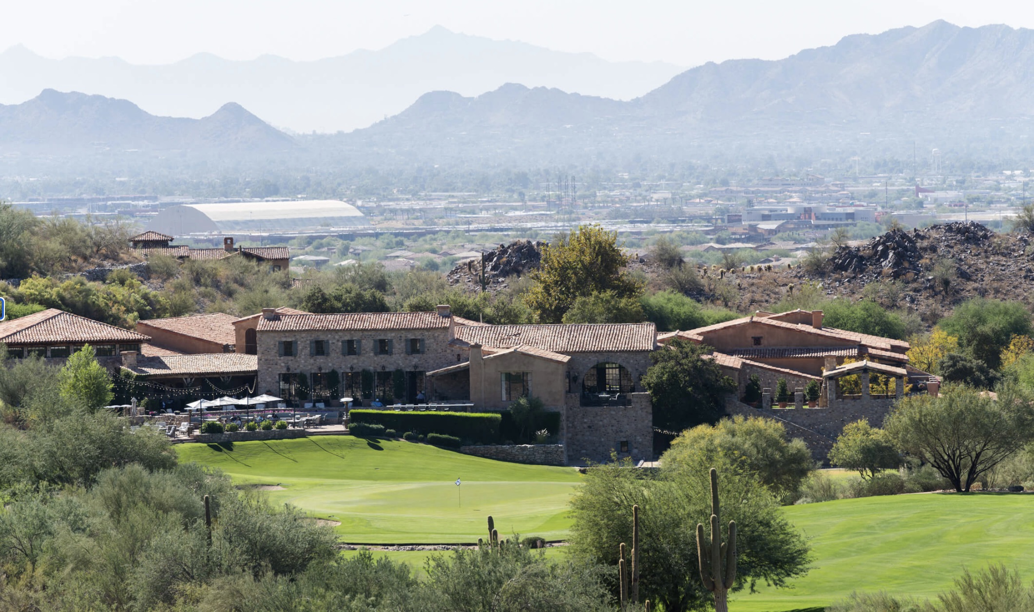 Silverleaf